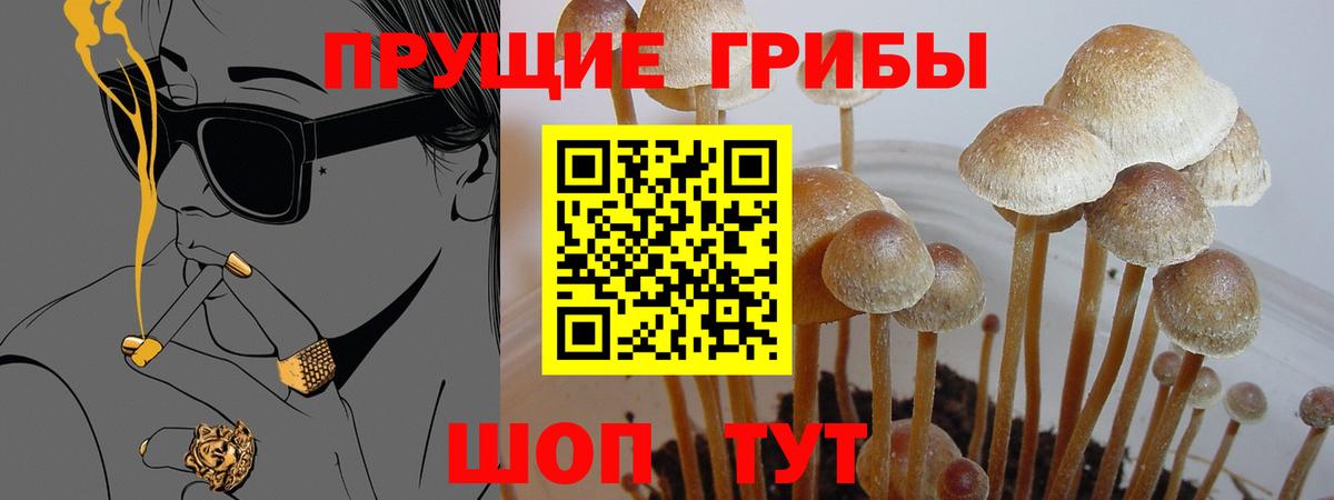 Галлюциногенные грибы прущие грибы  Псилоцибиновые грибы Psilocybe  Вход с VPN  Красногорск 